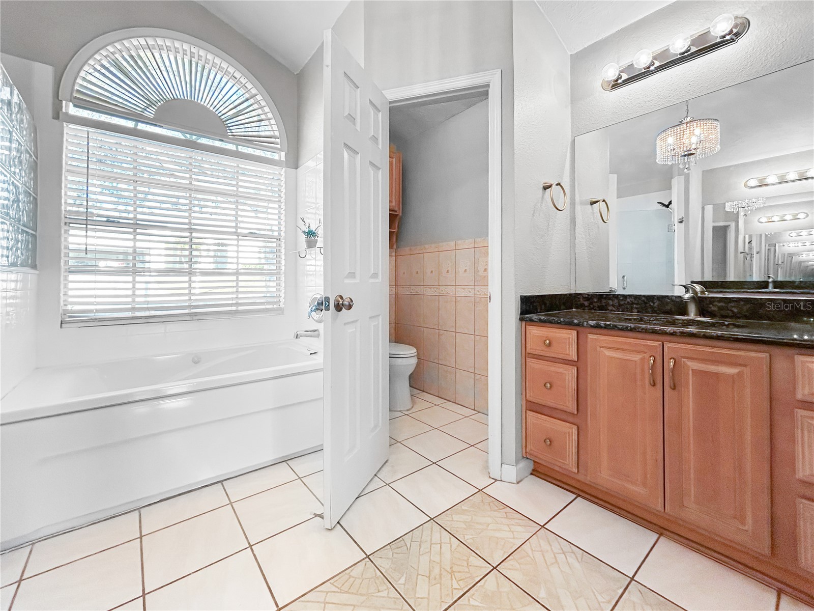 4518 Oak River Circle Valrico FL 33596 TB8473963 image29