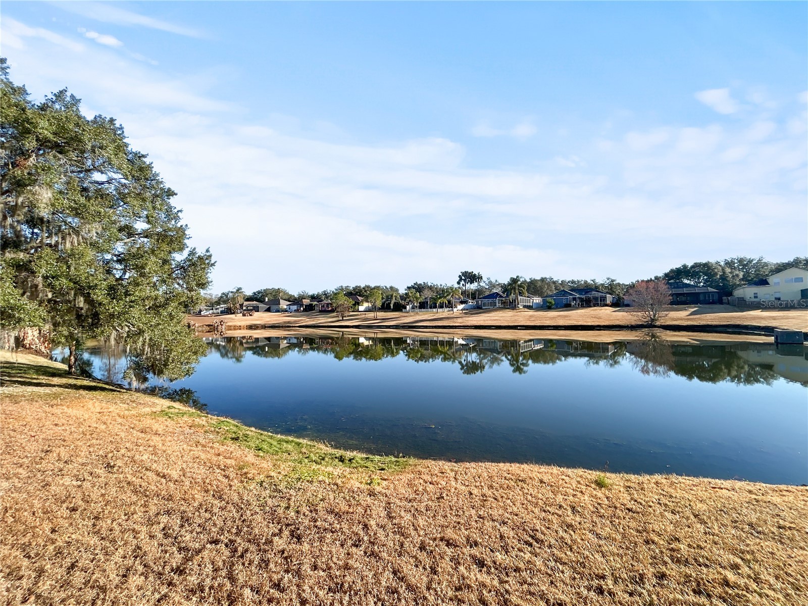 4518 Oak River Circle Valrico FL 33596 TB8473963 image3