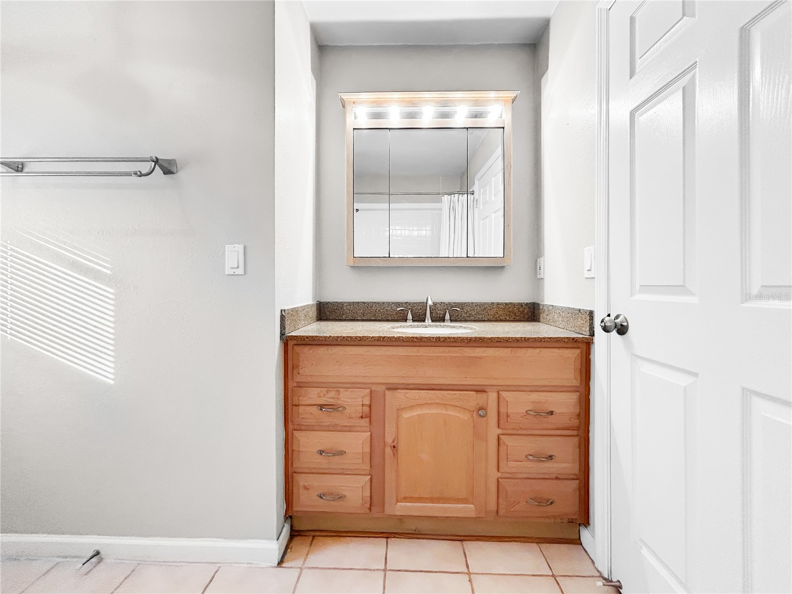 4518 Oak River Circle Valrico FL 33596 TB8473963 image35