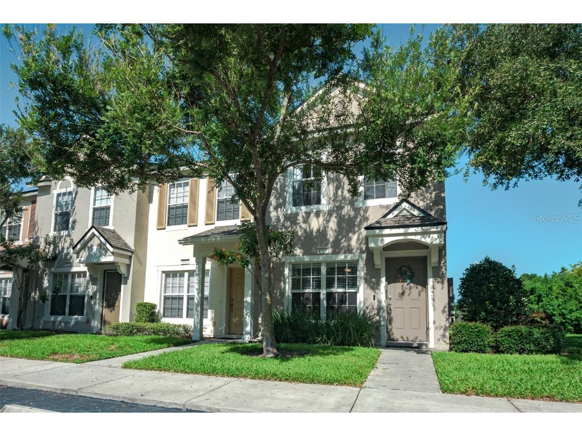 4519 Barnstead Drive Riverview FL 33578 T3539720 image1