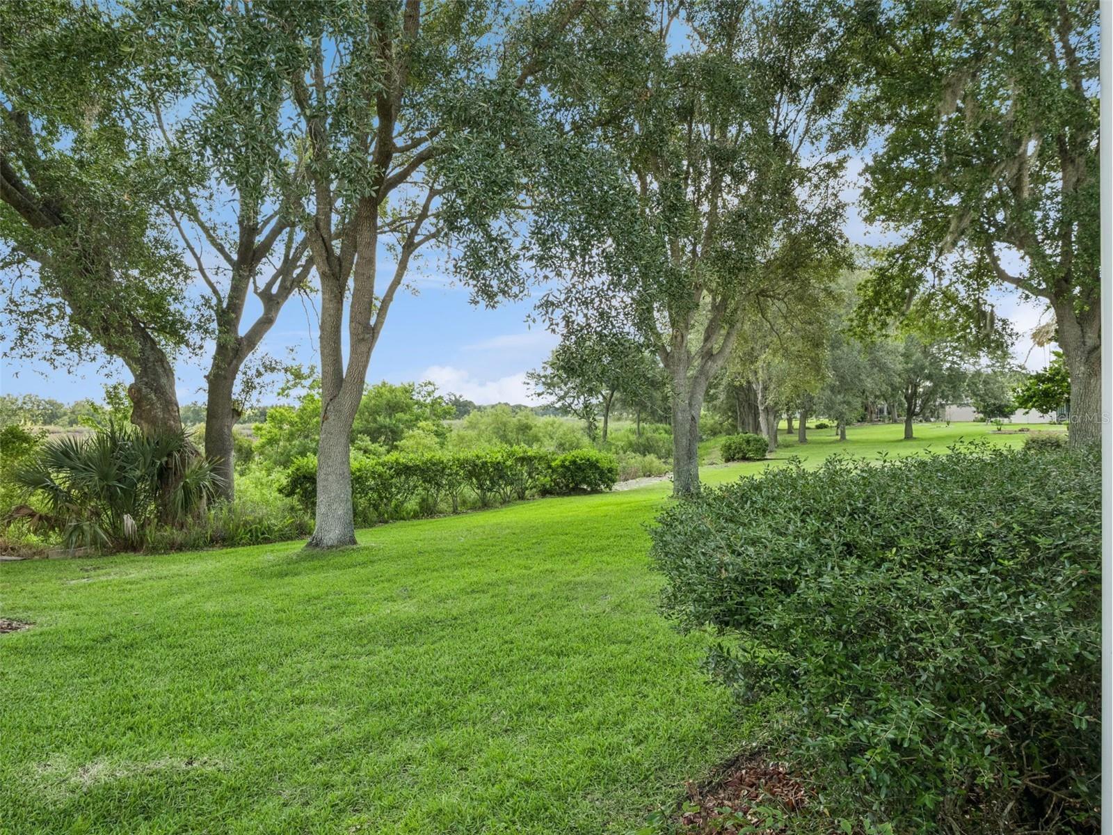 4519 Inverness Drive Leesburg FL 34748 G5112943 image36