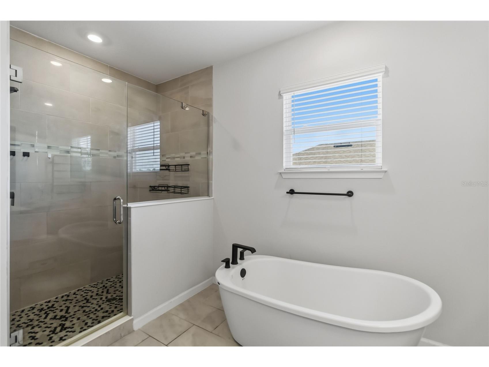 4519 Lions Gate Avenue Clermont FL 34711 O6409717 image23