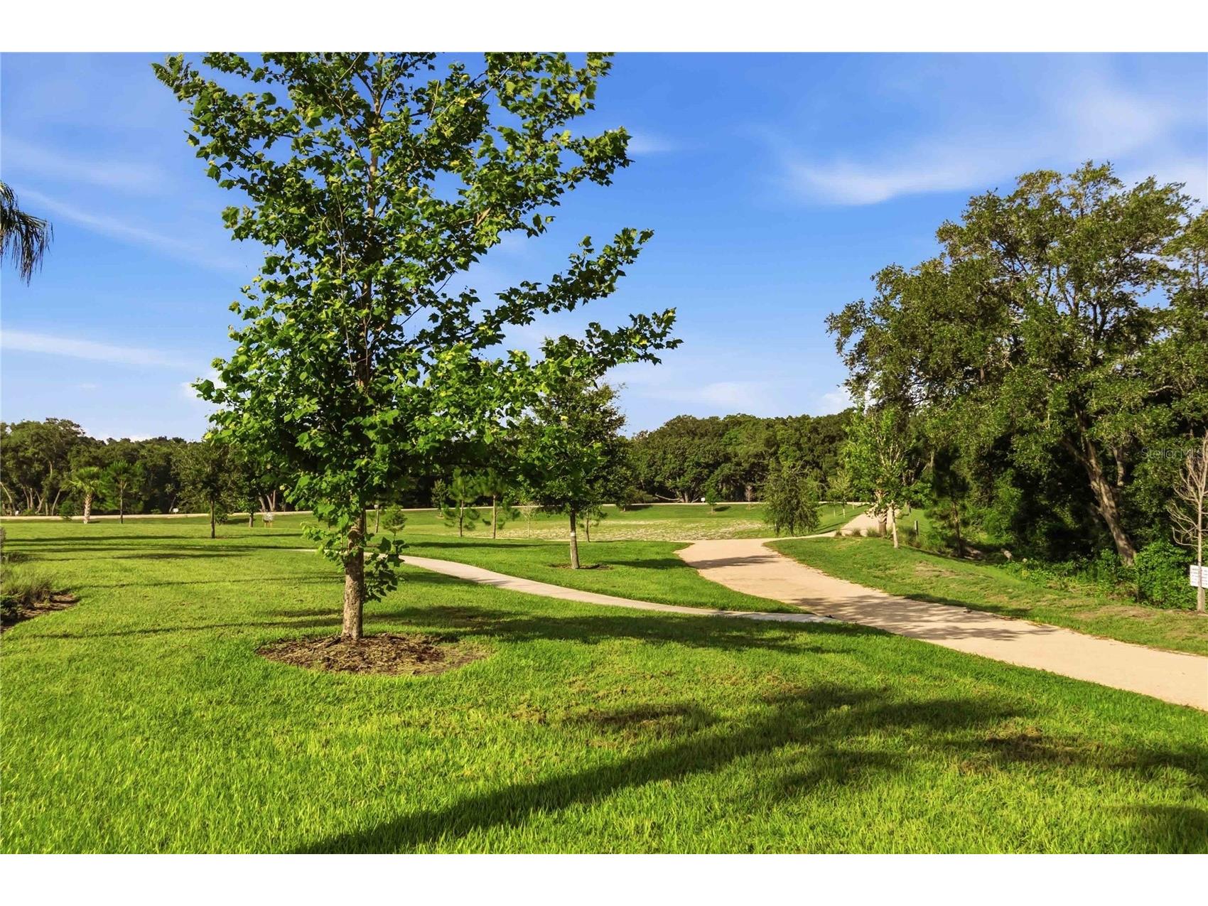 4519 Lions Gate Avenue Clermont FL 34711 O6409717 image41