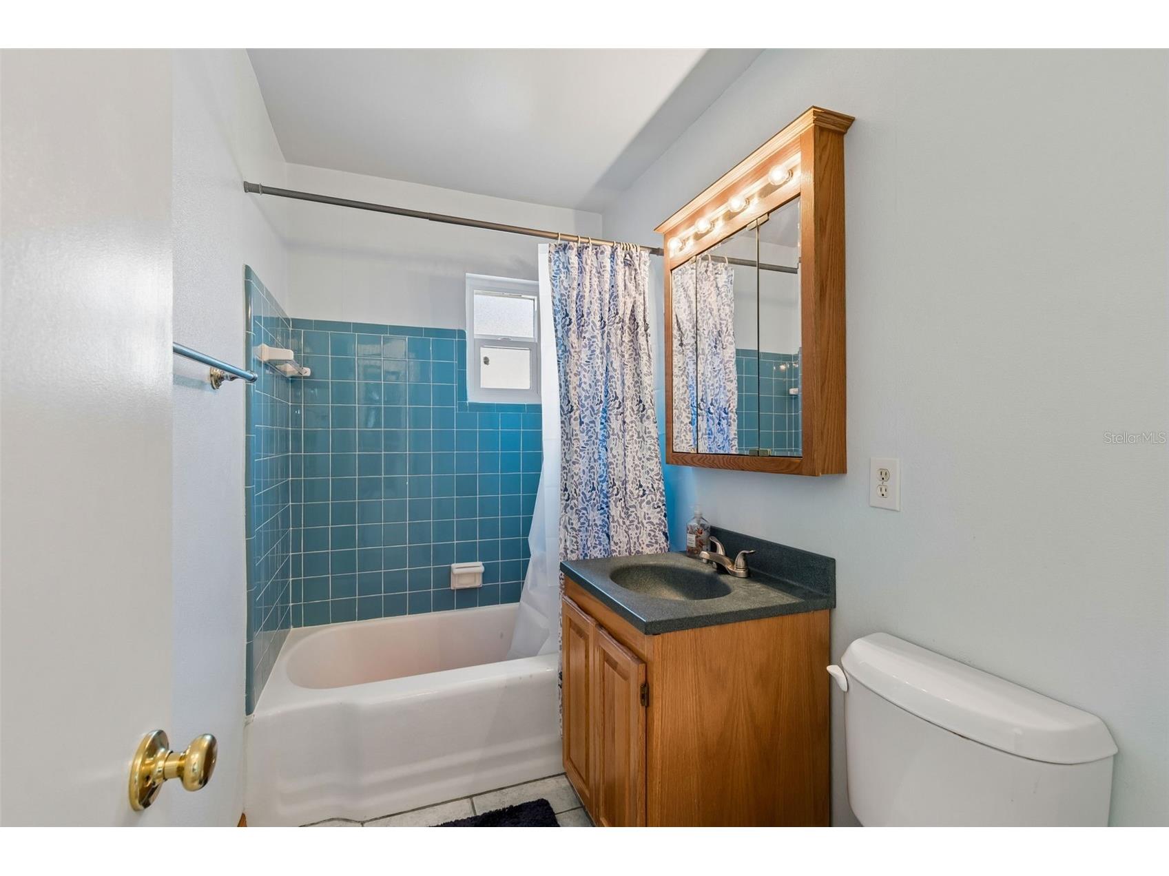 4519 S Cooper Place Tampa FL 33611 TB8492181 image29