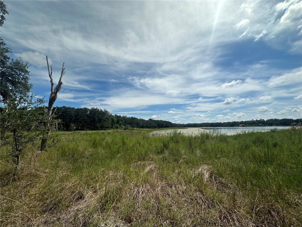 452 453 & W1/2 LOT 451 2208 Sw Shorewood Dr Drive Dunnellon FL 34431 TB8423293 image1