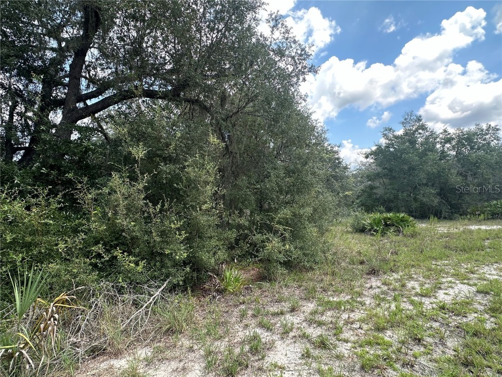 452 453 & W1/2 LOT 451 2208 Sw Shorewood Dr Drive Dunnellon FL 34431 TB8423293 image10