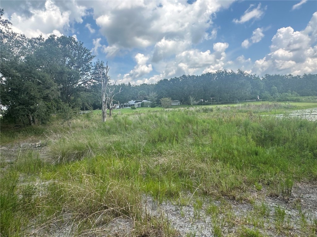 452 453 & W1/2 LOT 451 2208 Sw Shorewood Dr Drive Dunnellon FL 34431 TB8423293 image13