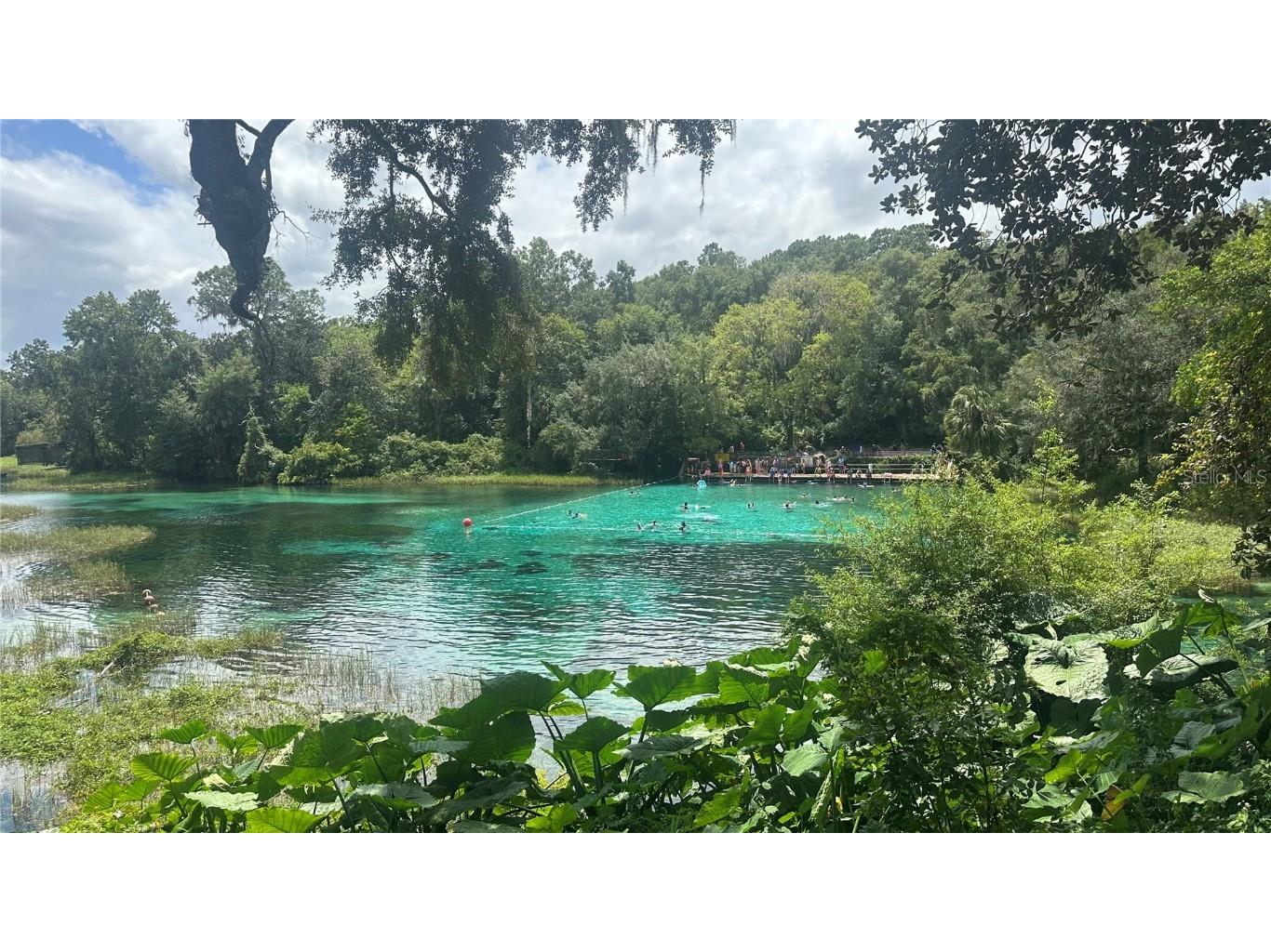 452 453 & W1/2 LOT 451 2208 Sw Shorewood Dr Drive Dunnellon FL 34431 TB8423293 image25