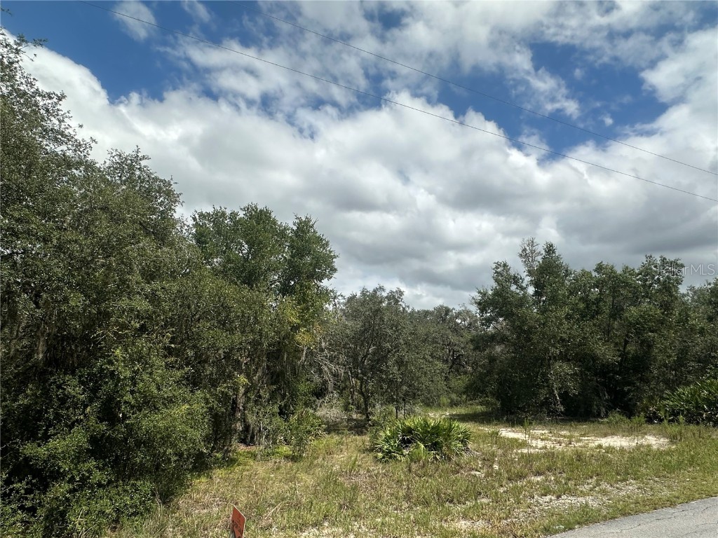 452 453 & W1/2 LOT 451 2208 Sw Shorewood Dr Drive Dunnellon FL 34431 TB8423293 image6