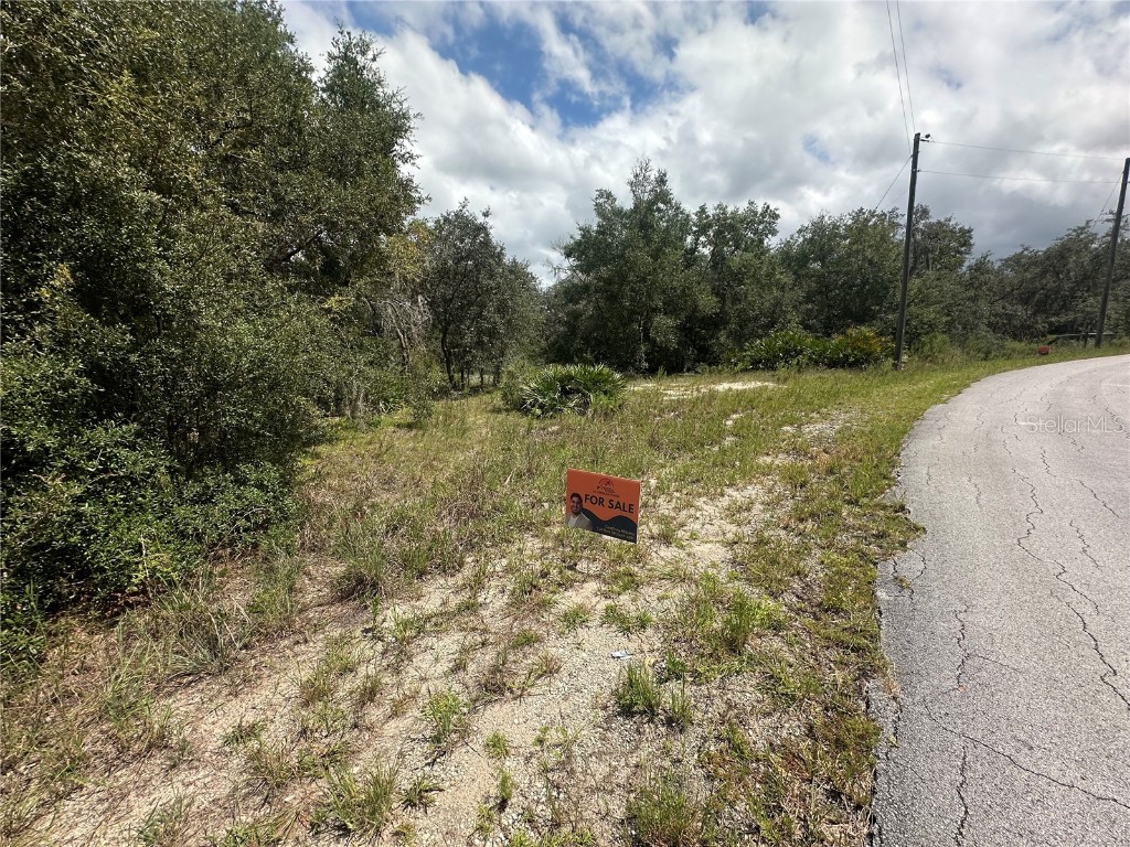 452 453 & W1/2 LOT 451 2208 Sw Shorewood Dr Drive Dunnellon FL 34431 TB8423293 image7
