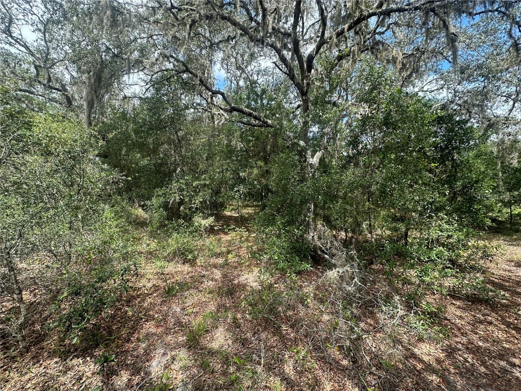 452 453 & W1/2 LOT 451 2208 Sw Shorewood Dr Drive Dunnellon FL 34431 TB8423293 image8