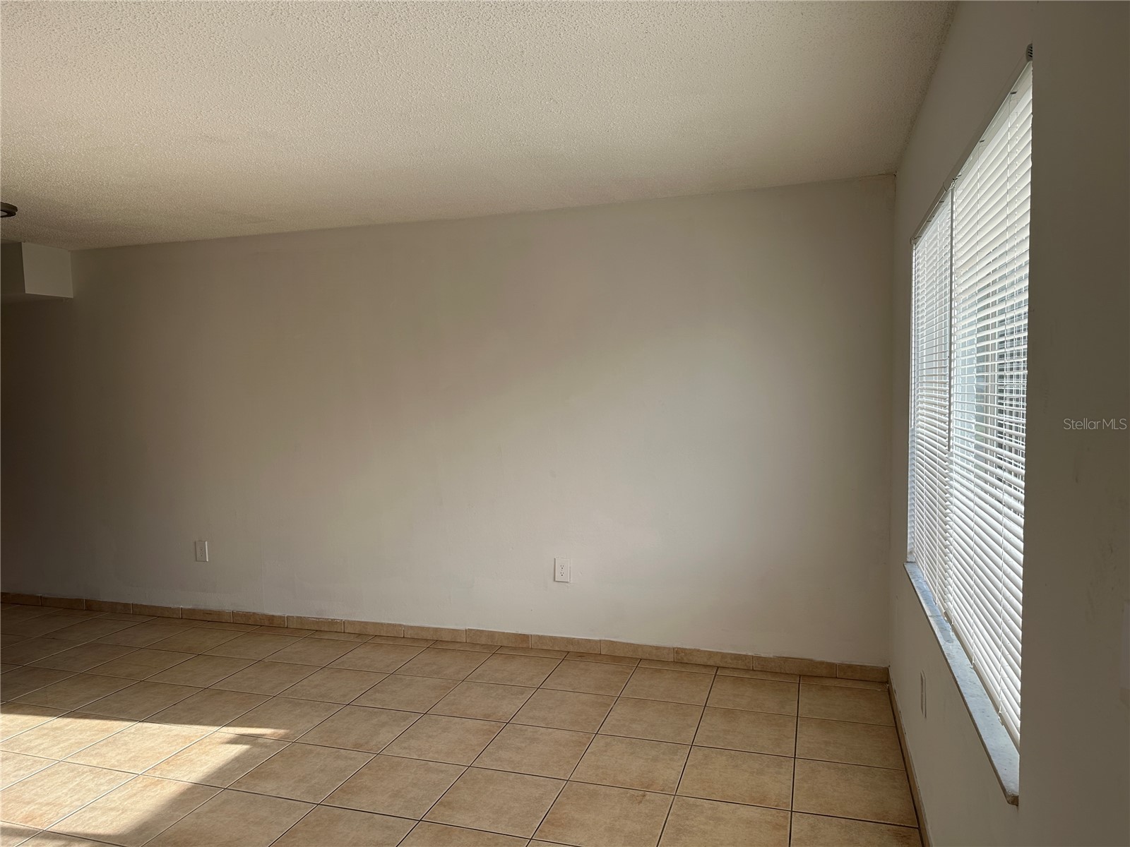 452 89th Avenue N Saint Petersburg FL 33702 TB8505203 image2