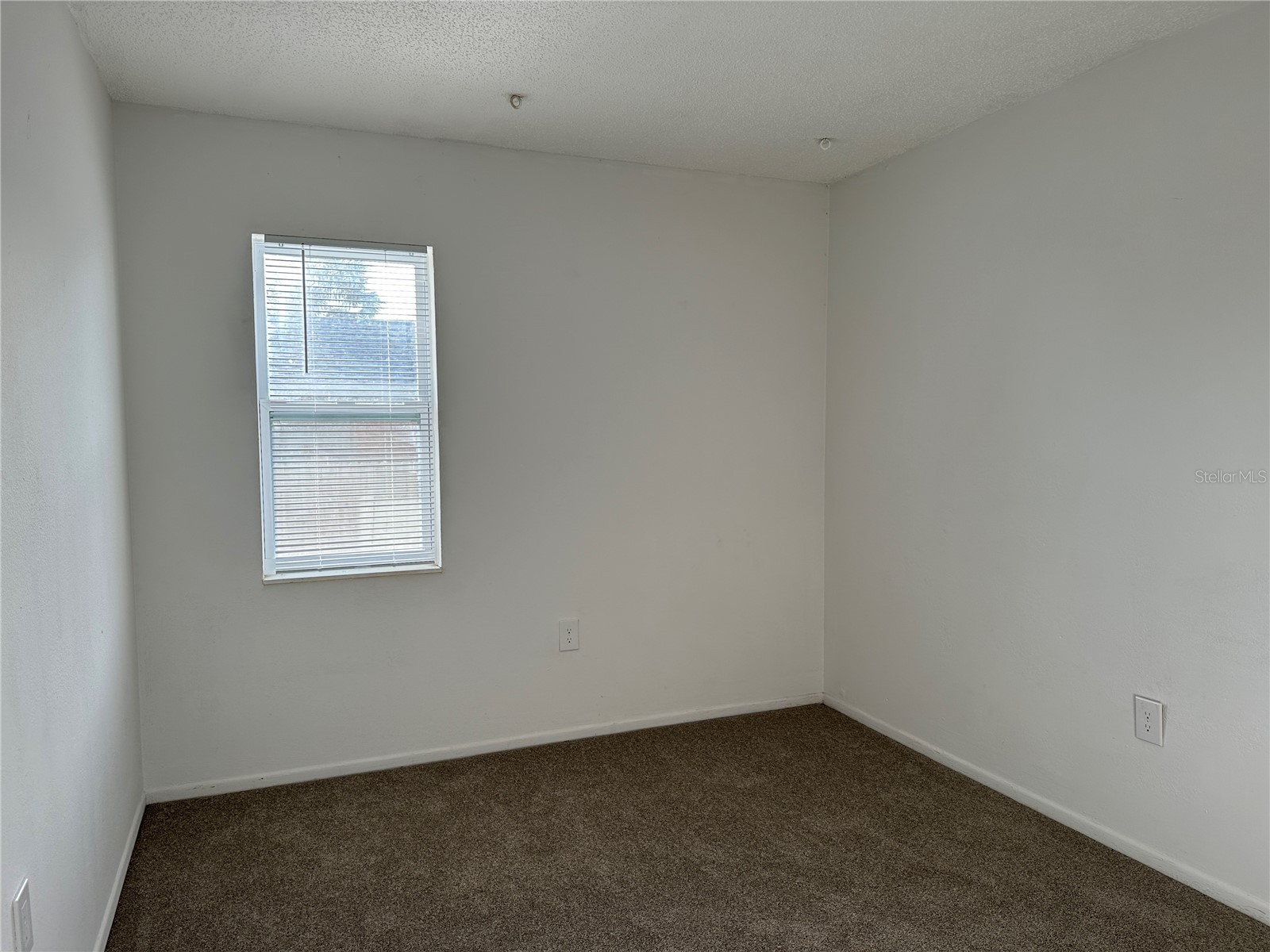 452 89th Avenue N Saint Petersburg FL 33702 TB8505203 image7