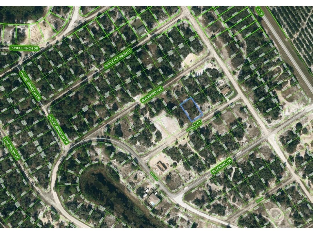 452 Blackbird Court Lake Placid FL 33852 OM624321 image1