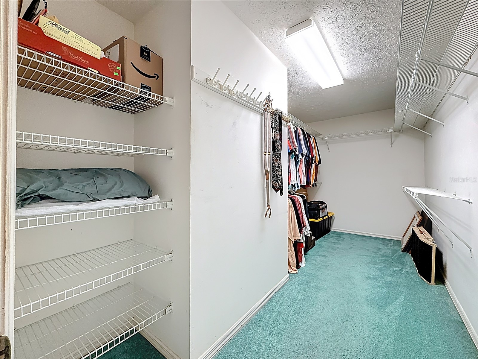 452 Summit Chase Drive Valrico FL 33594 TB8479337 image10