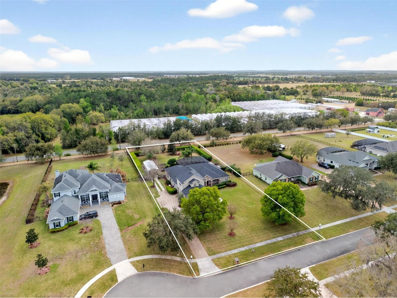 4520 Claire Rose Court Mount Dora FL 32757 O6386341 image100