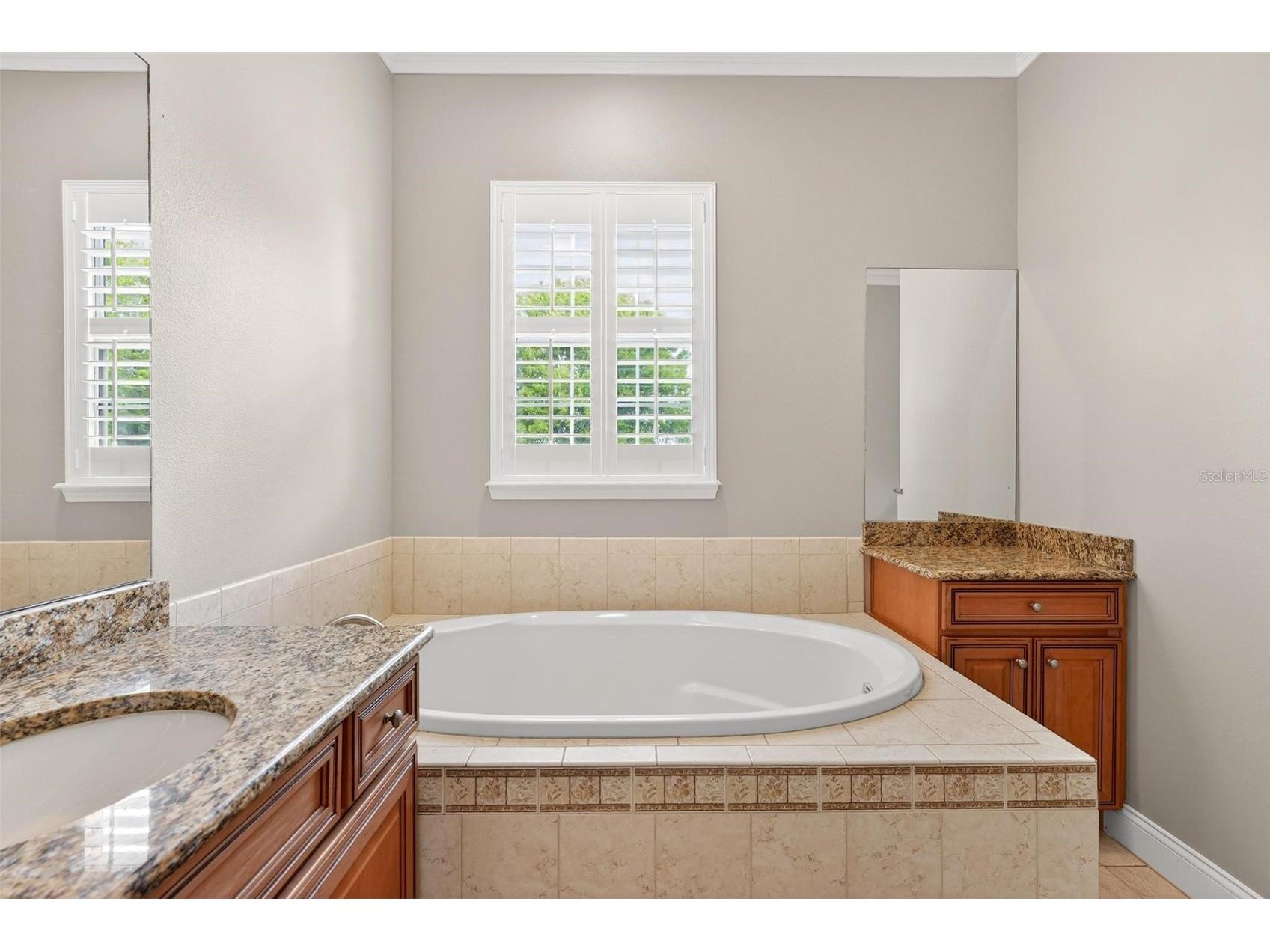 4520 Claire Rose Court Mount Dora FL 32757 O6386341 image23