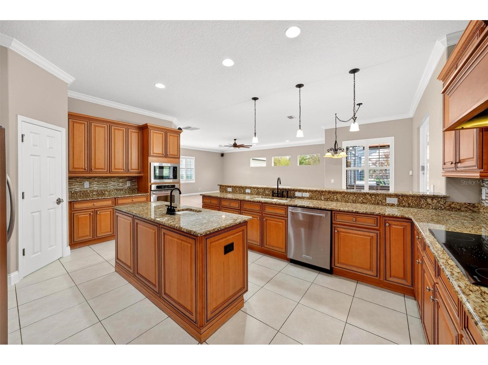 4520 Claire Rose Court Mount Dora FL 32757 O6386341 image29