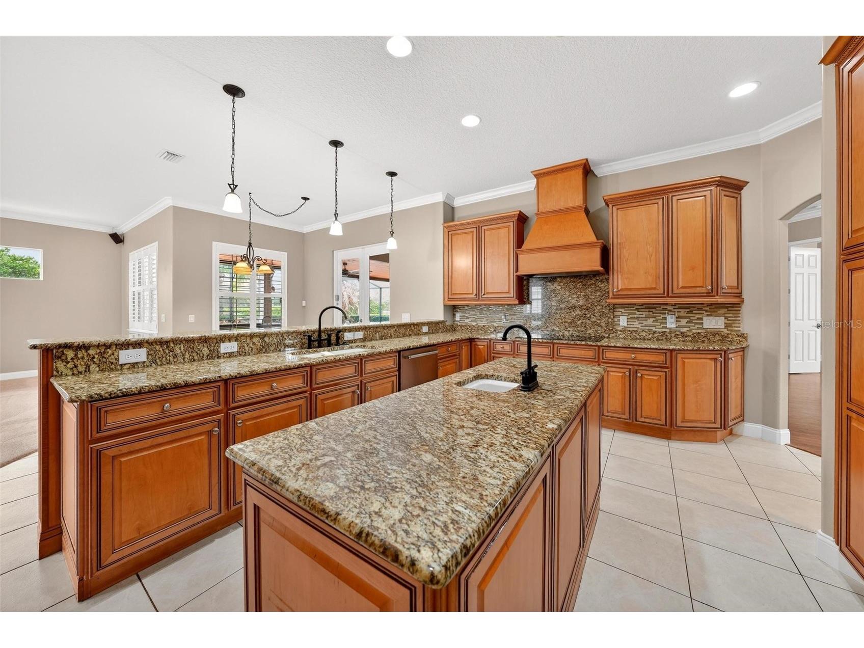 4520 Claire Rose Court Mount Dora FL 32757 O6386341 image30