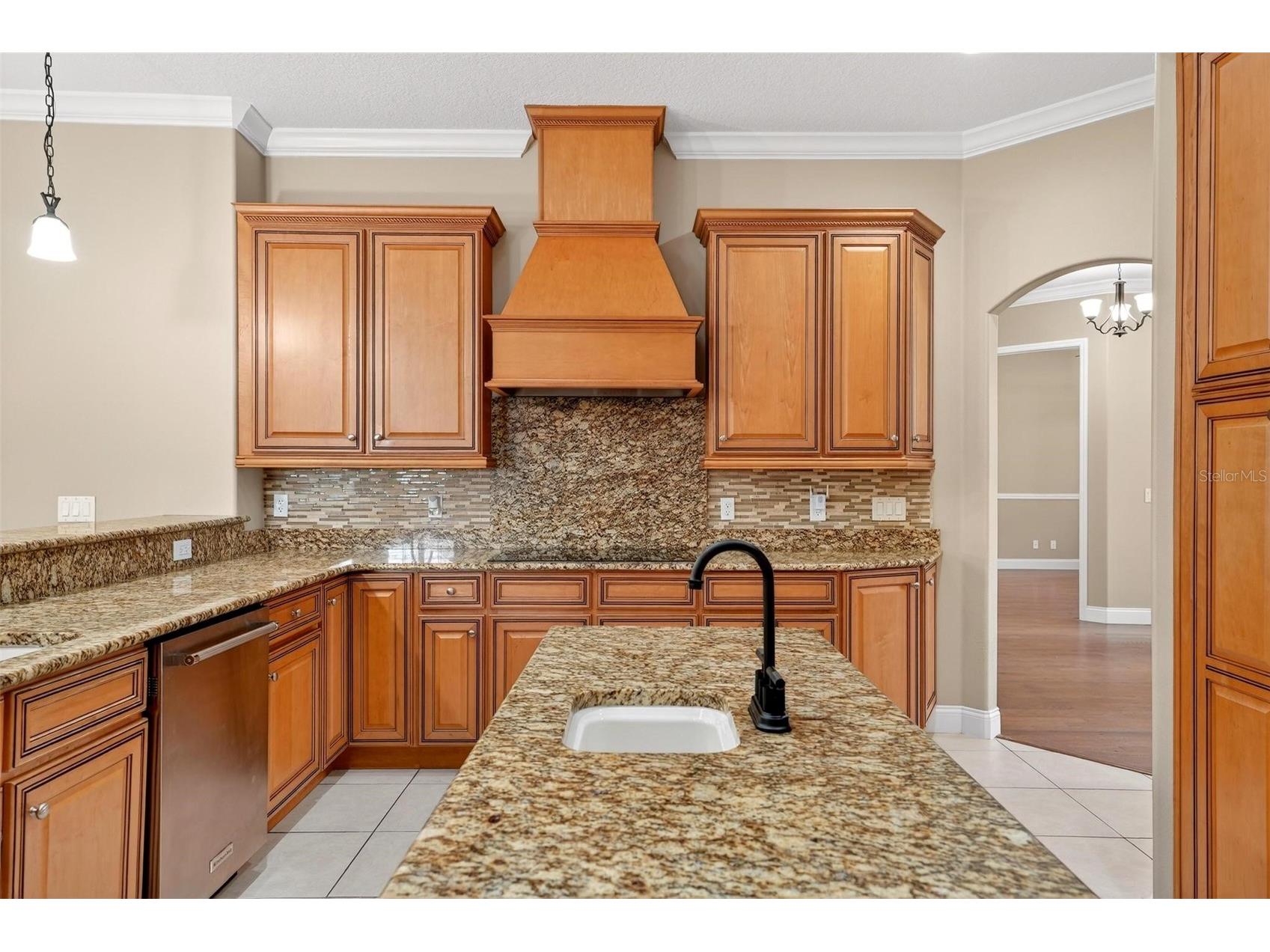 4520 Claire Rose Court Mount Dora FL 32757 O6386341 image32
