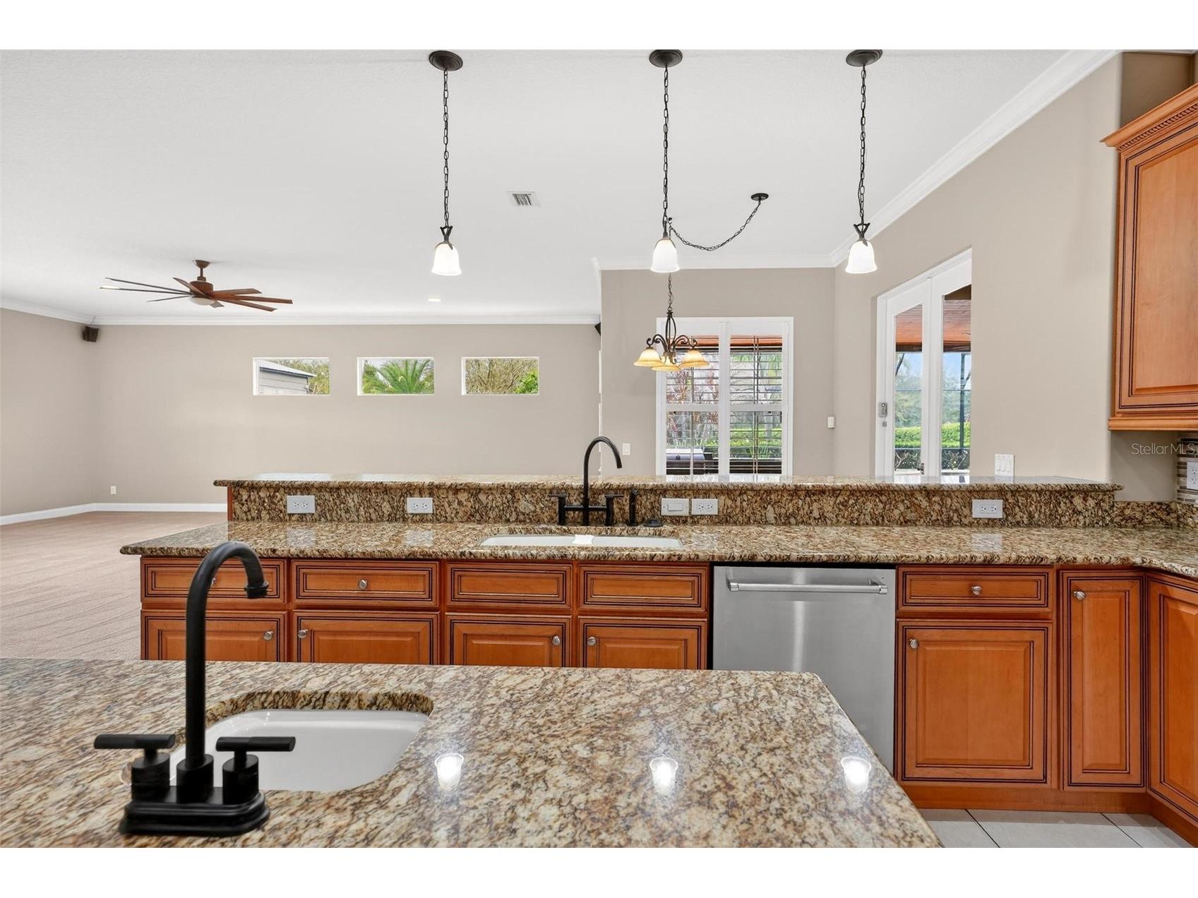 4520 Claire Rose Court Mount Dora FL 32757 O6386341 image33
