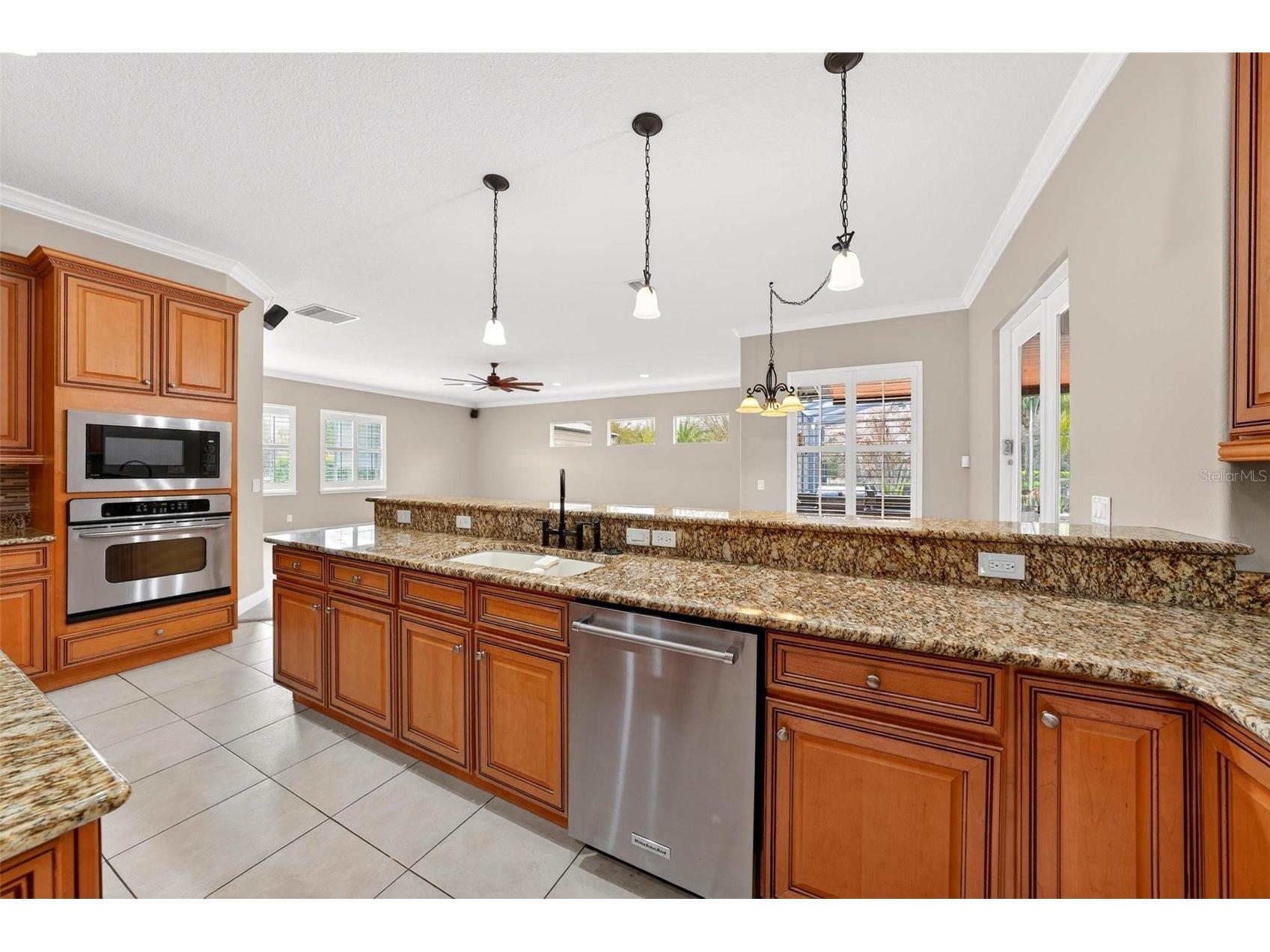 4520 Claire Rose Court Mount Dora FL 32757 O6386341 image34