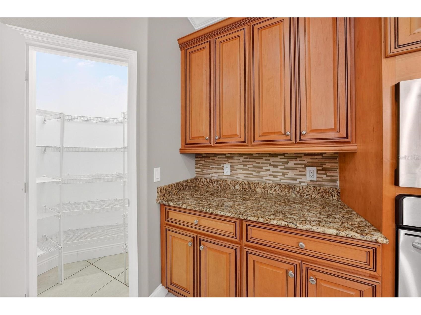 4520 Claire Rose Court Mount Dora FL 32757 O6386341 image37