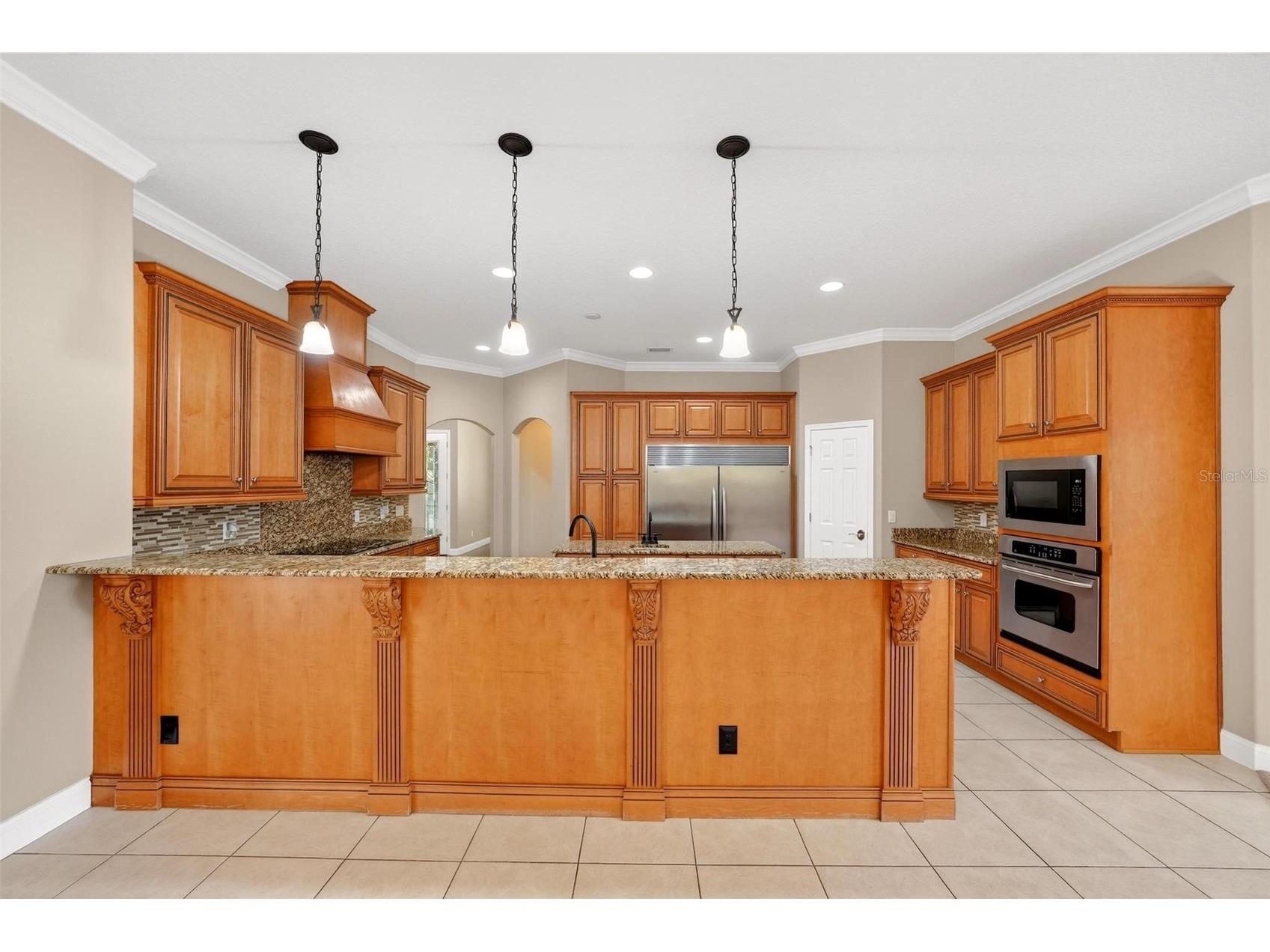 4520 Claire Rose Court Mount Dora FL 32757 O6386341 image39