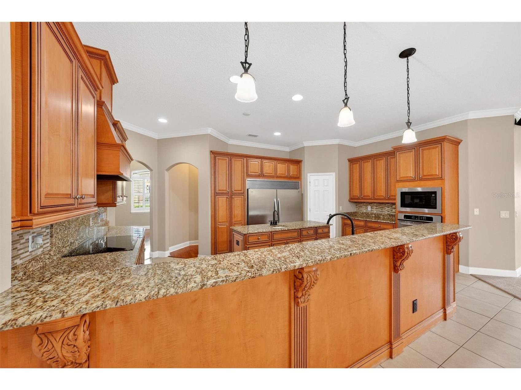4520 Claire Rose Court Mount Dora FL 32757 O6386341 image40