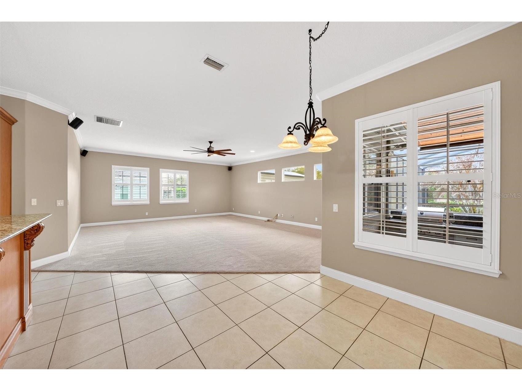 4520 Claire Rose Court Mount Dora FL 32757 O6386341 image43