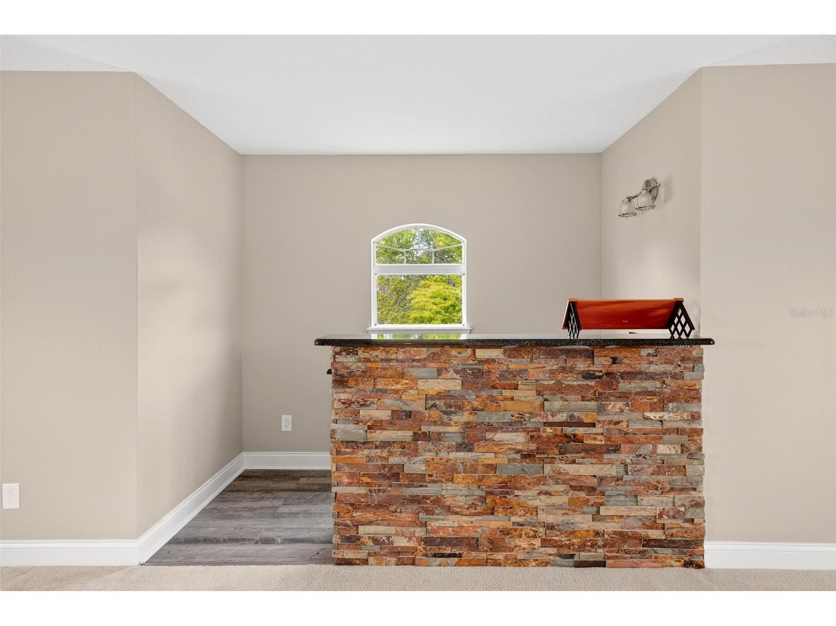 4520 Claire Rose Court Mount Dora FL 32757 O6386341 image80