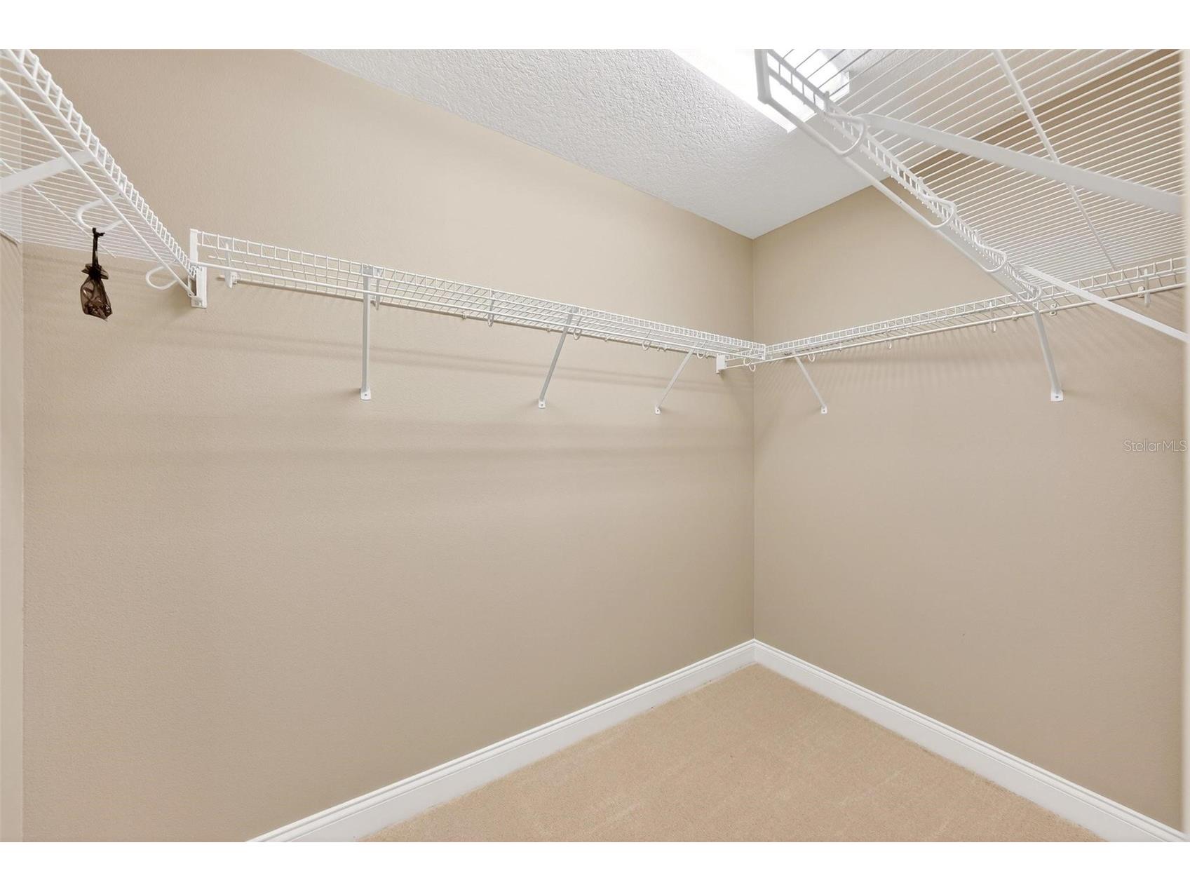 4520 Claire Rose Court Mount Dora FL 32757 O6386341 image82