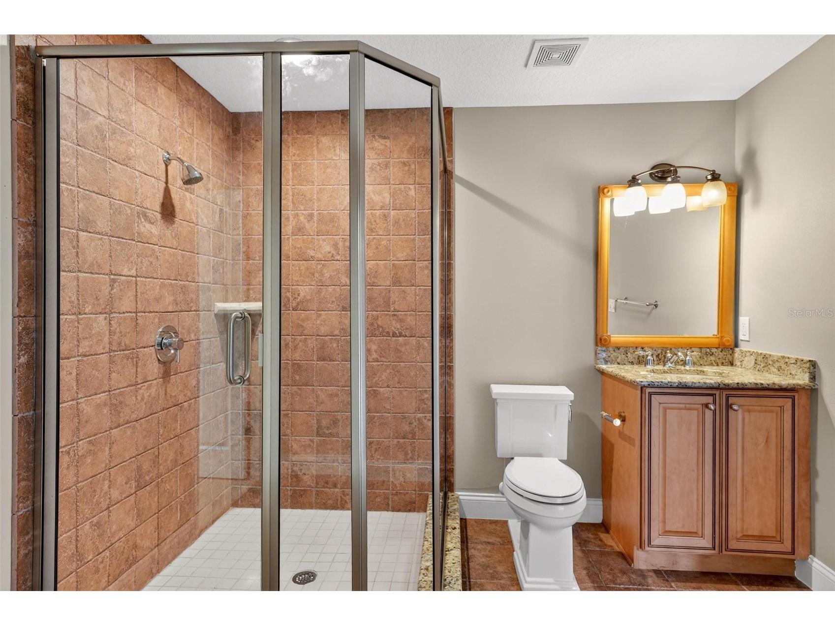 4520 Claire Rose Court Mount Dora FL 32757 O6386341 image85