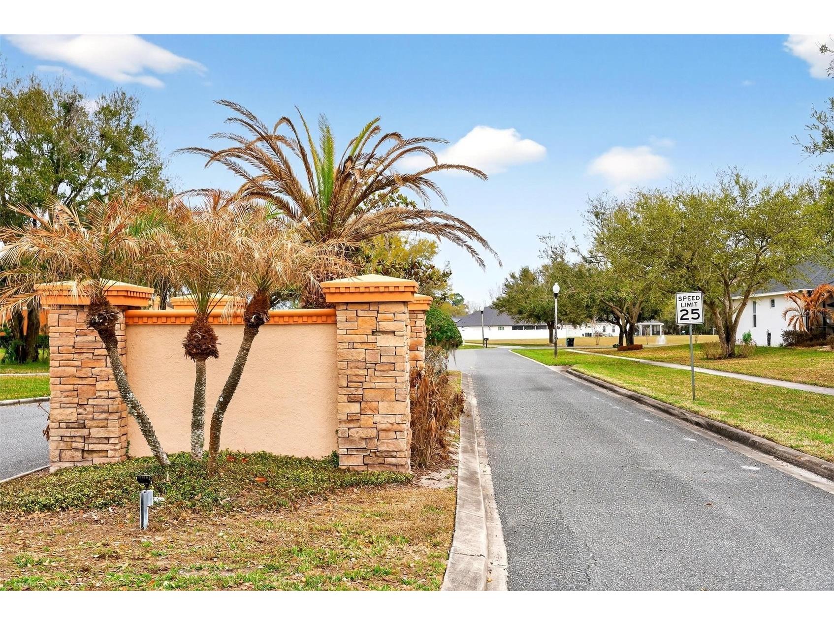 4520 Claire Rose Court Mount Dora FL 32757 O6386341 image94