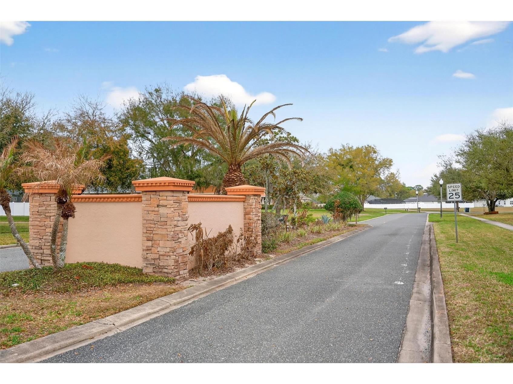 4520 Claire Rose Court Mount Dora FL 32757 O6386341 image95