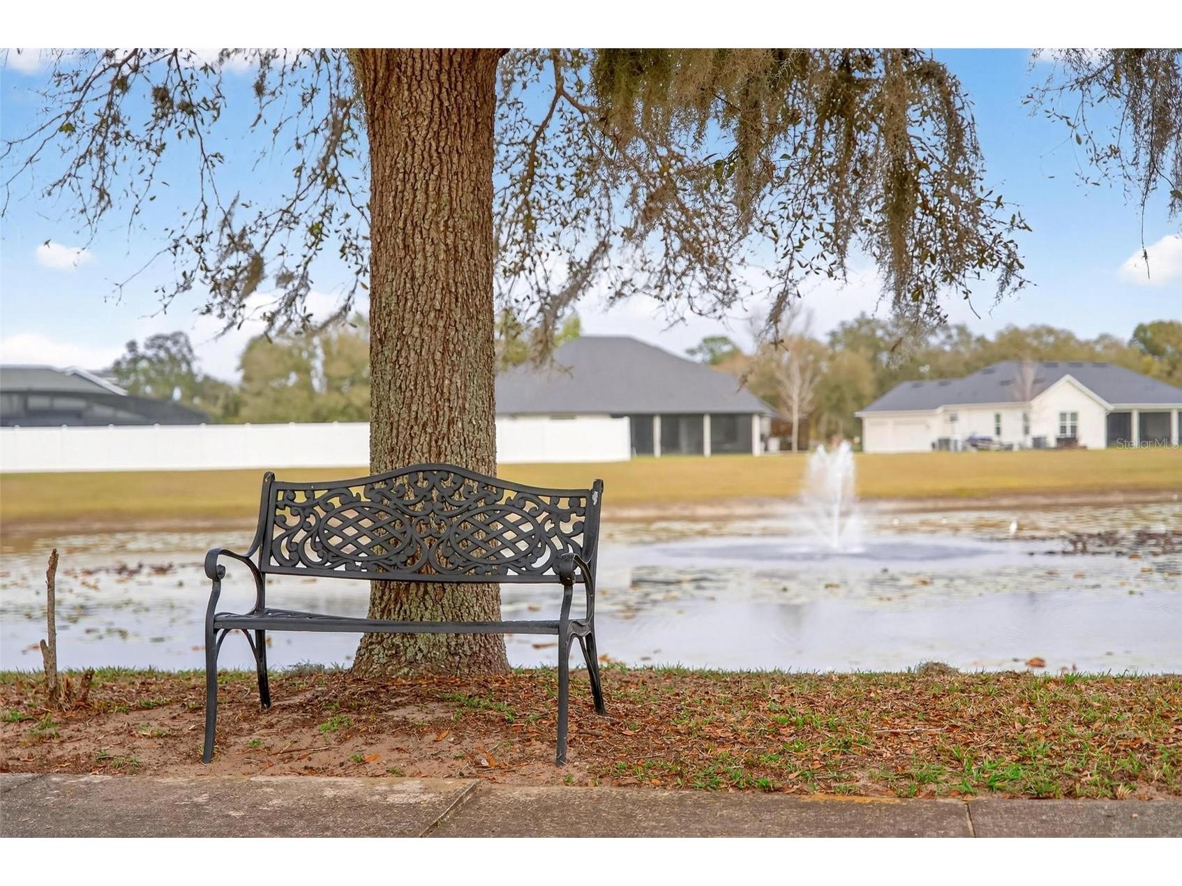 4520 Claire Rose Court Mount Dora FL 32757 O6386341 image96