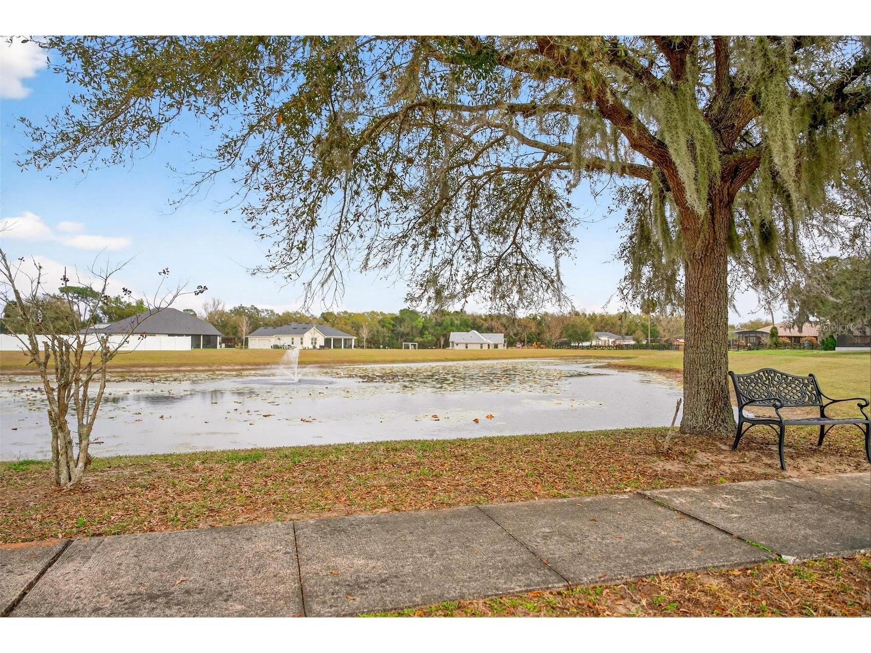 4520 Claire Rose Court Mount Dora FL 32757 O6386341 image97