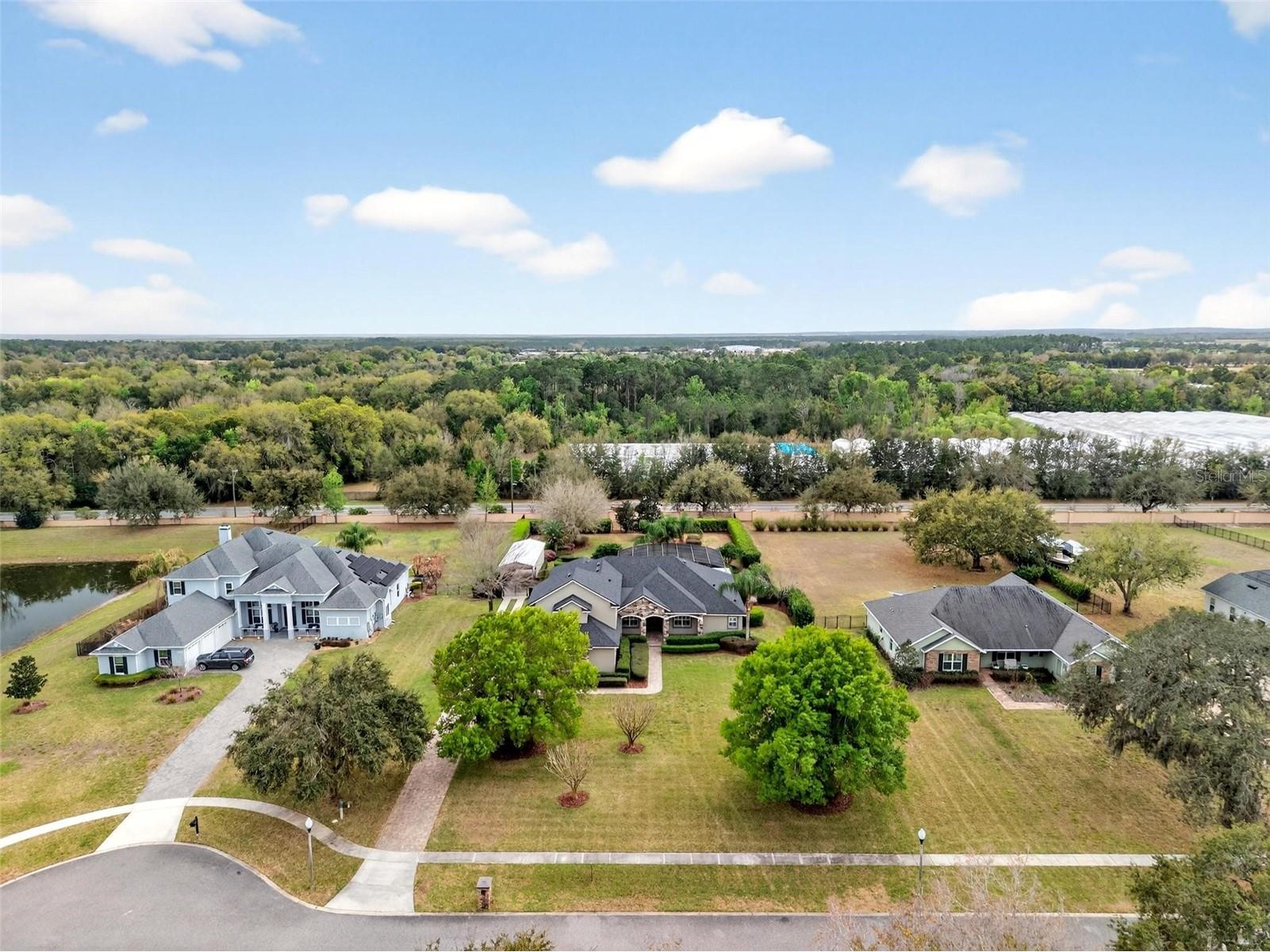 4520 Claire Rose Court Mount Dora FL 32757 O6386341 image99