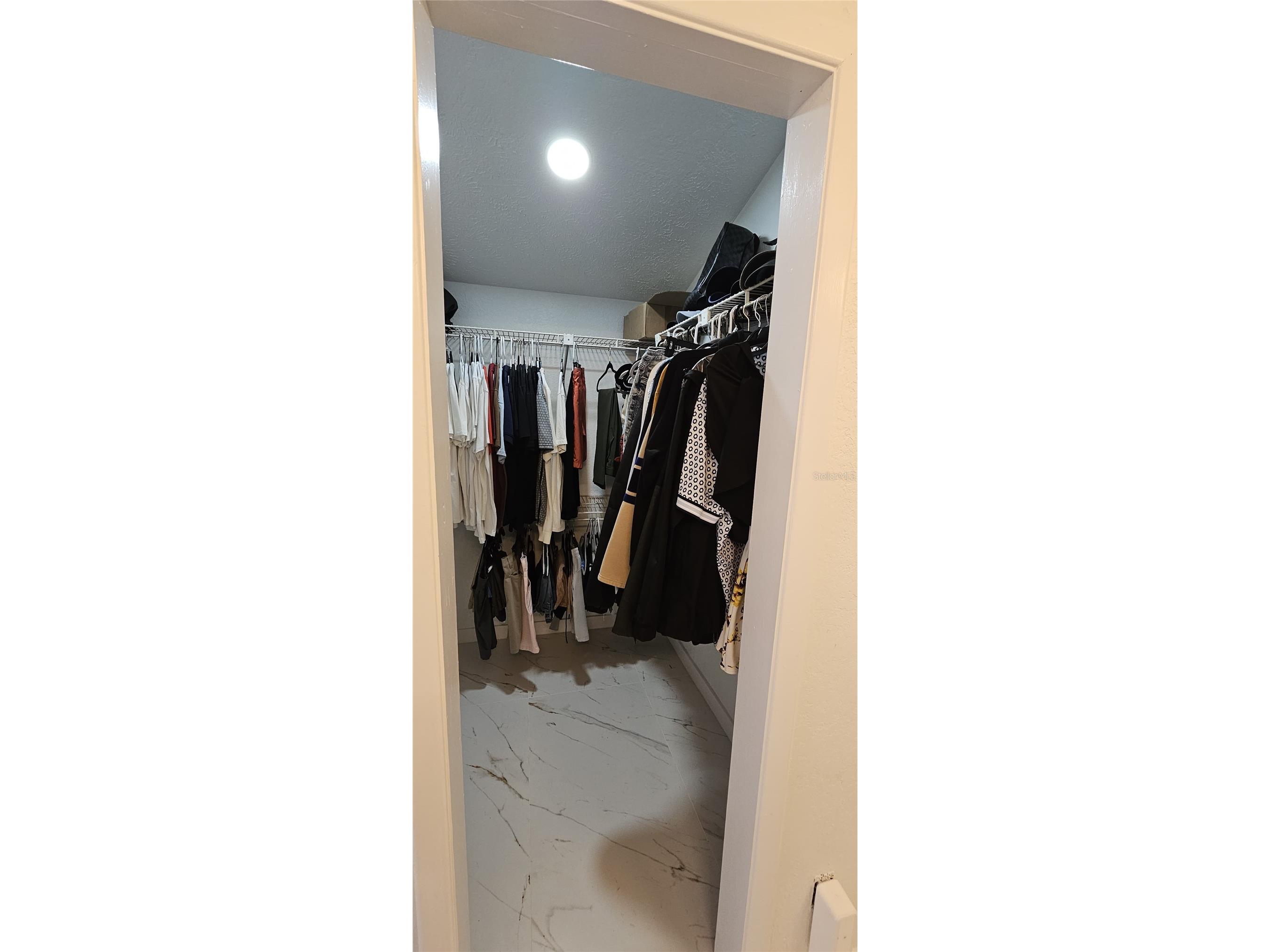 4520 Grainary Avenue Tampa FL 33624 TB8473894 image11