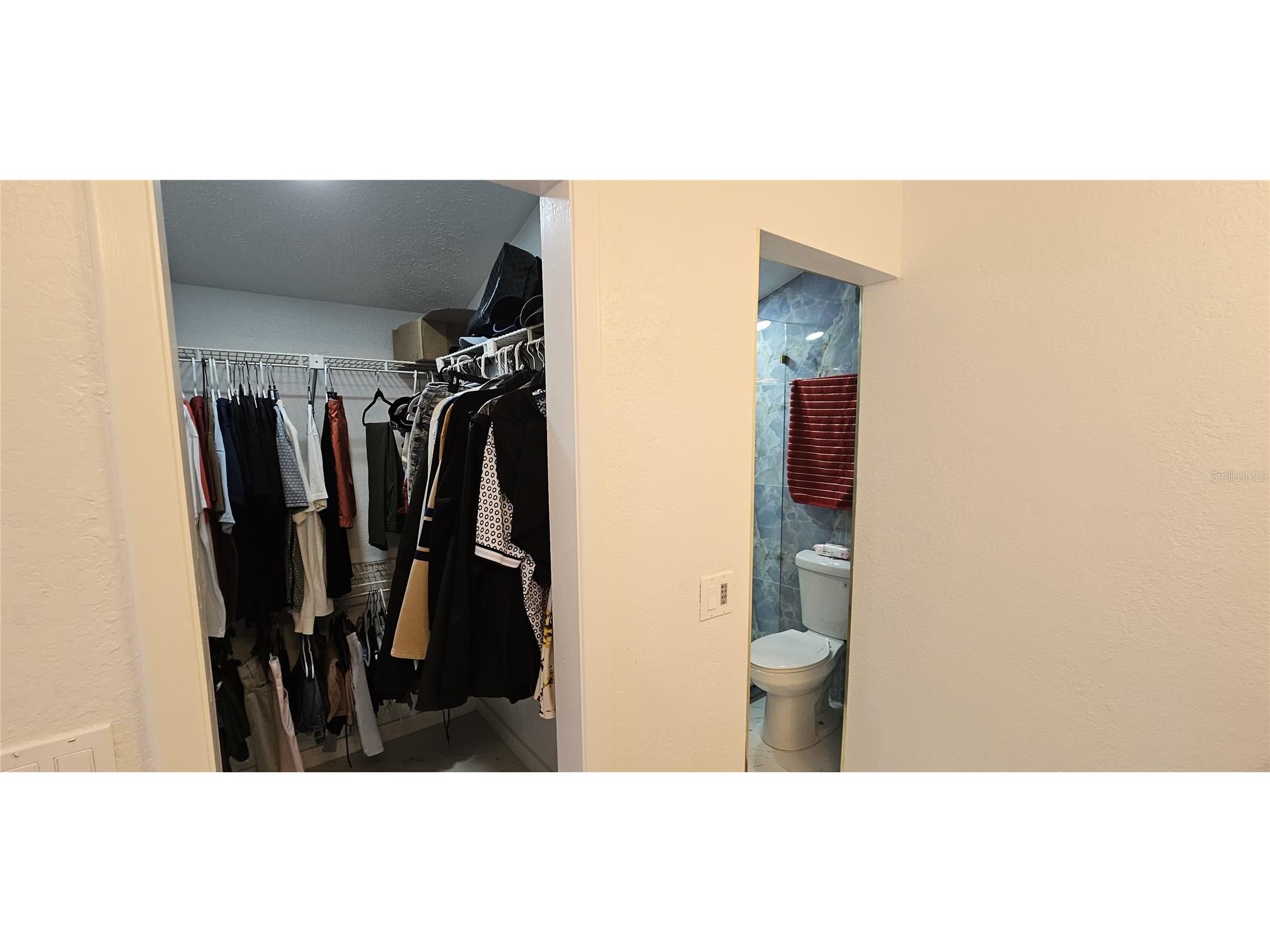 4520 Grainary Avenue Tampa FL 33624 TB8473894 image13