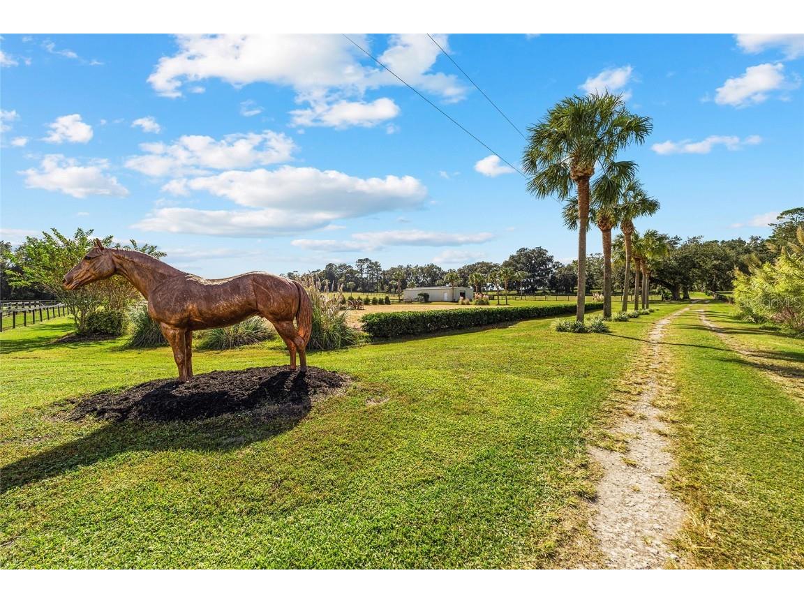 4520 NW 95th Avenue Road Ocala FL 34482 OM688359 image35