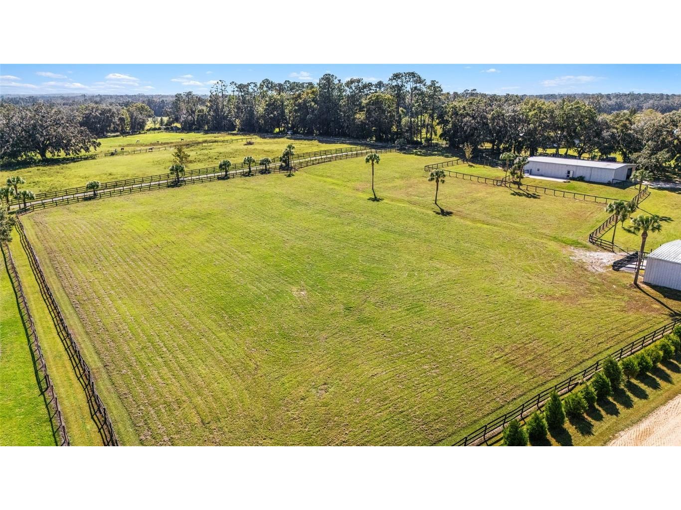 4520 NW 95th Avenue Road Ocala FL 34482 OM688359 image60