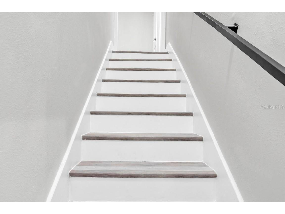 4520 Pine Hollow Drive Tampa FL 33624 TB8449578 image25