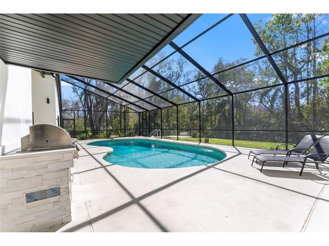 4520 Pine Hollow Drive Tampa FL 33624 TB8449578 image36