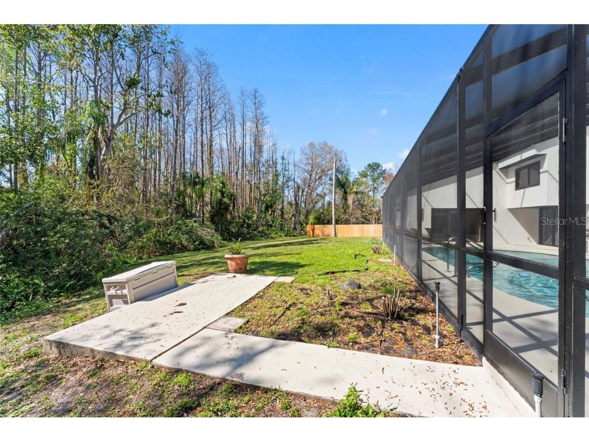 4520 Pine Hollow Drive Tampa FL 33624 TB8449578 image38