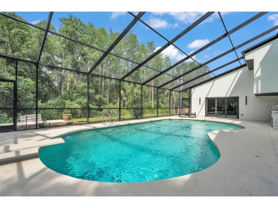 4520 Pine Hollow Drive Tampa FL 33624 TB8449578 image39