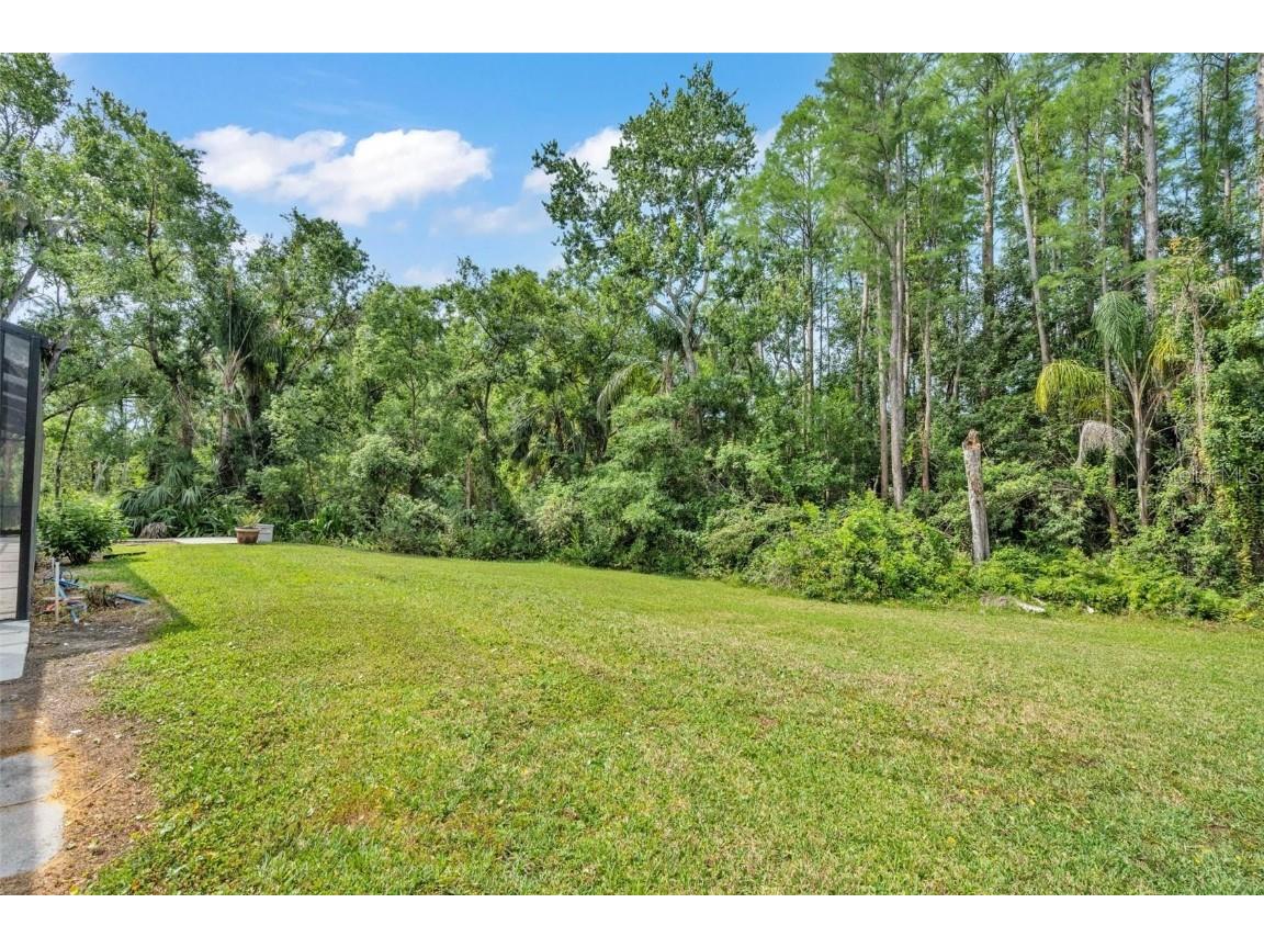 4520 Pine Hollow Drive Tampa FL 33624 TB8449578 image46