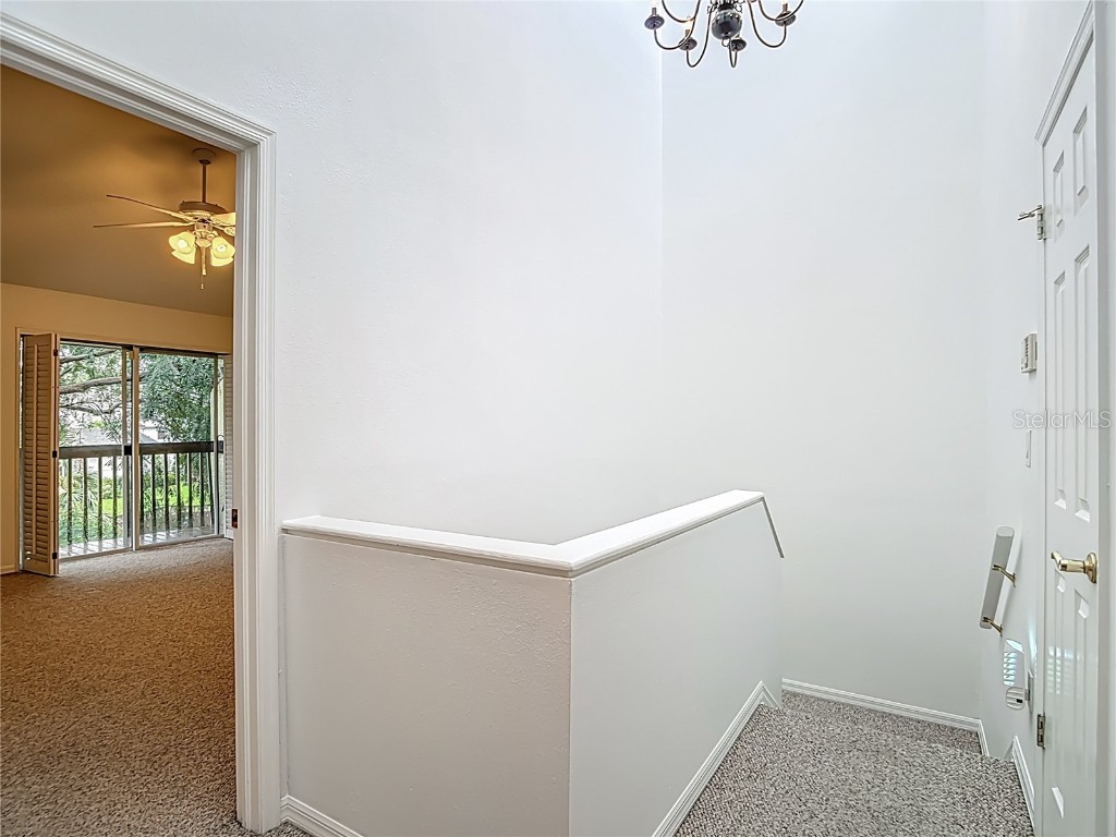 4520 W Gray Street Tampa FL 33609 TB8407952 image37