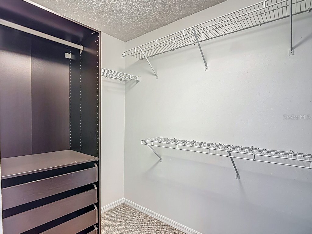 4520 W Gray Street Tampa FL 33609 TB8407952 image51