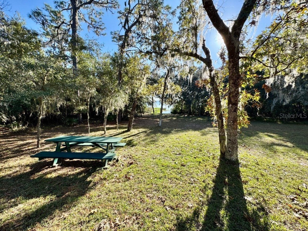 45202 Nfs Rd 572-B Altoona FL 32702 - LAKE DORR OM690062 image18